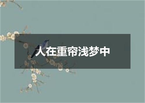 人在重帘浅梦中