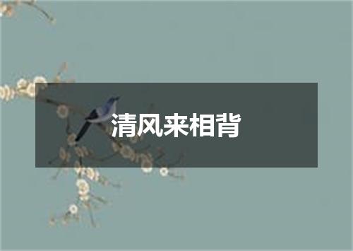 清风来相背