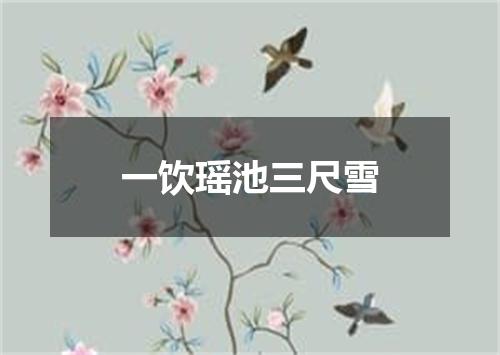 一饮瑶池三尺雪