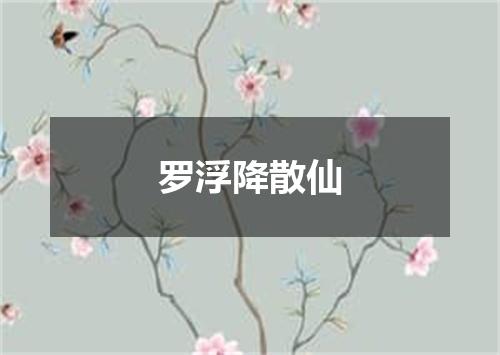 罗浮降散仙