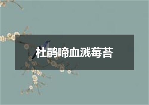 杜鹃啼血溅莓苔