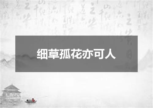 细草孤花亦可人
