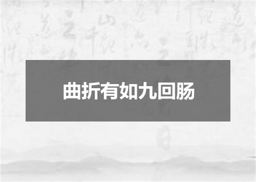 曲折有如九回肠