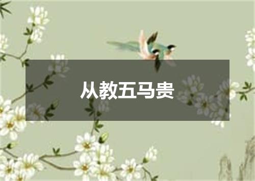 从教五马贵