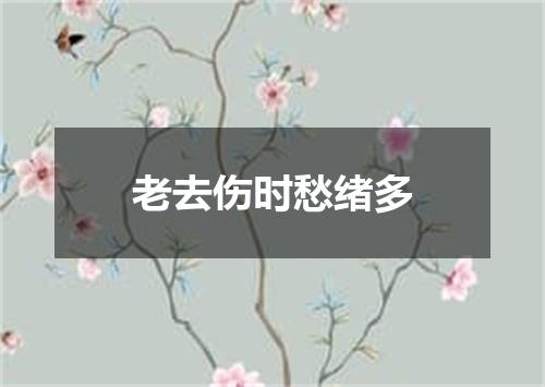 老去伤时愁绪多