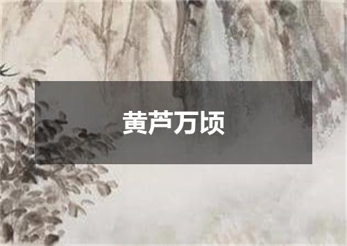 黄芦万顷