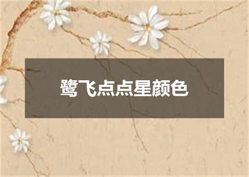 鹭飞点点星颜色