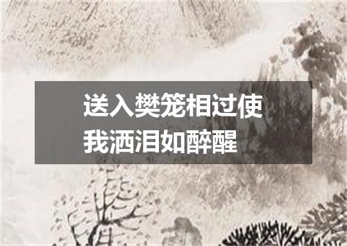 送入樊笼相过使我洒泪如醉醒