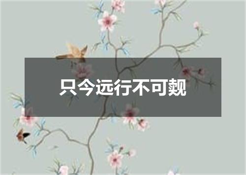 只今远行不可觌