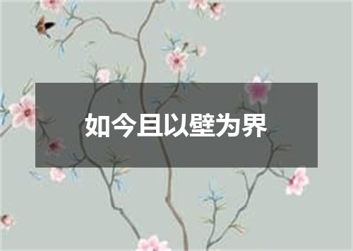 如今且以壁为界
