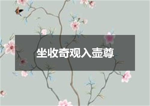 坐收奇观入壶尊
