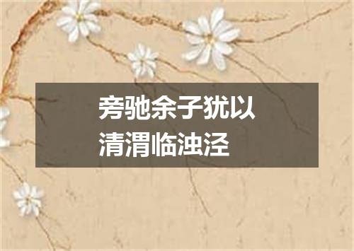 旁驰余子犹以清渭临浊泾