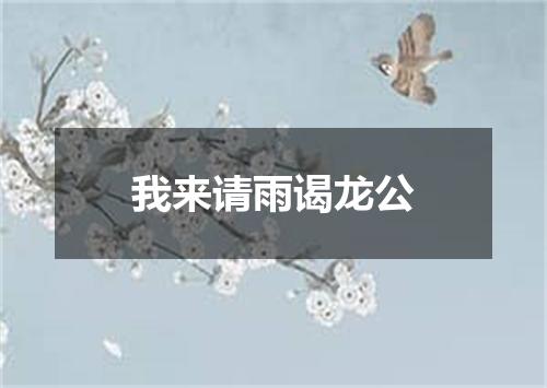 我来请雨谒龙公