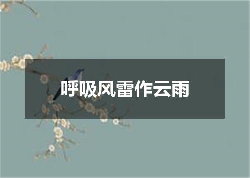呼吸风雷作云雨