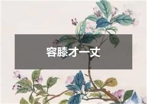 容膝才一丈