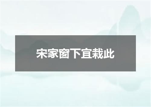 宋家窗下宜栽此