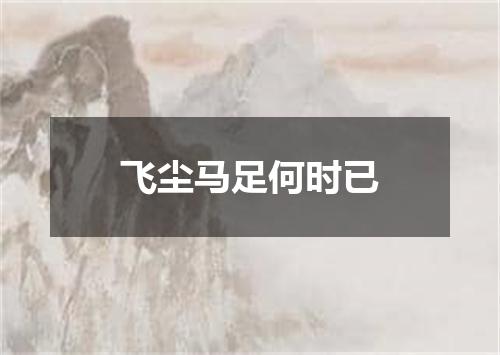 飞尘马足何时已