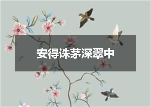 安得诛茅深翠中