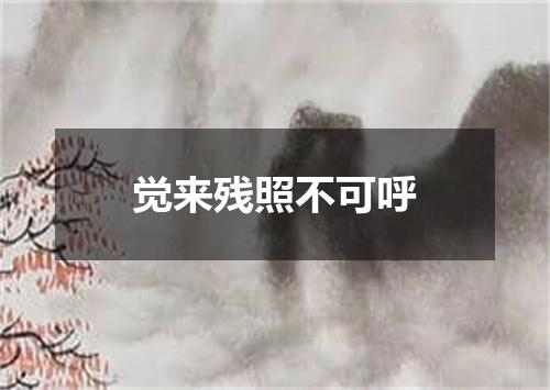 觉来残照不可呼