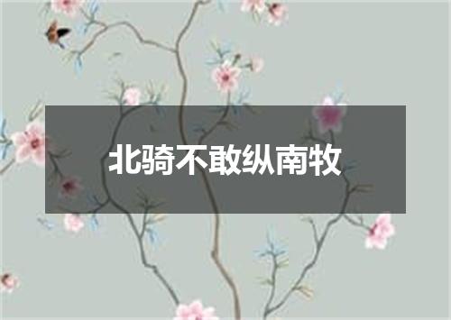 北骑不敢纵南牧