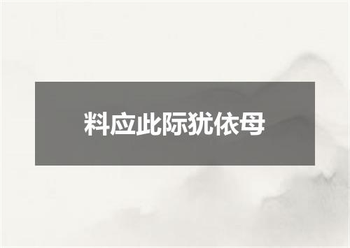 料应此际犹依母