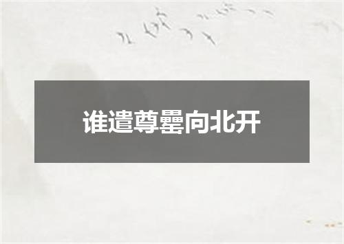 谁遣尊罍向北开