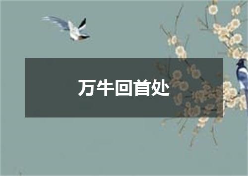 万牛回首处