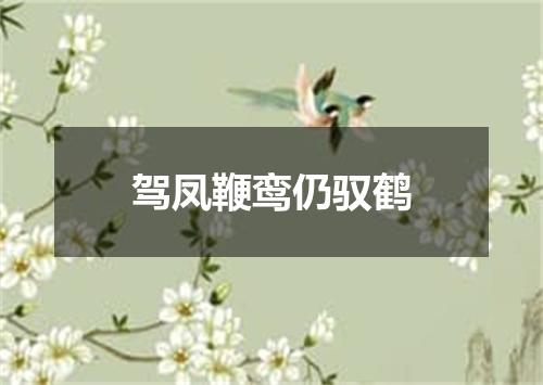 驾凤鞭鸾仍驭鹤
