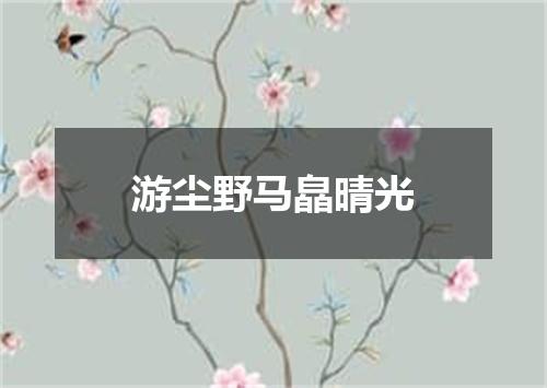 游尘野马皛晴光