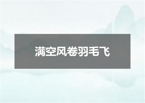 满空风卷羽毛飞