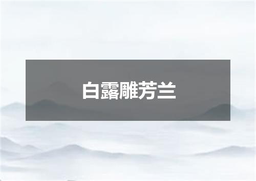 白露雕芳兰