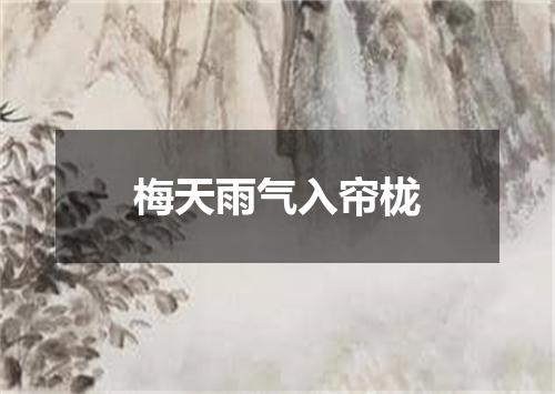 梅天雨气入帘栊
