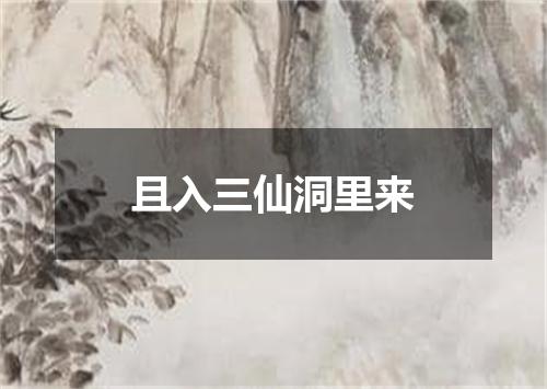 且入三仙洞里来