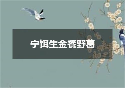 宁饵生金餐野葛