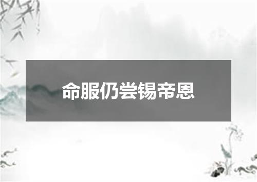 命服仍尝锡帝恩