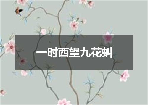 一时西望九花虯