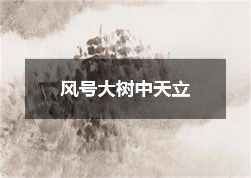 风号大树中天立