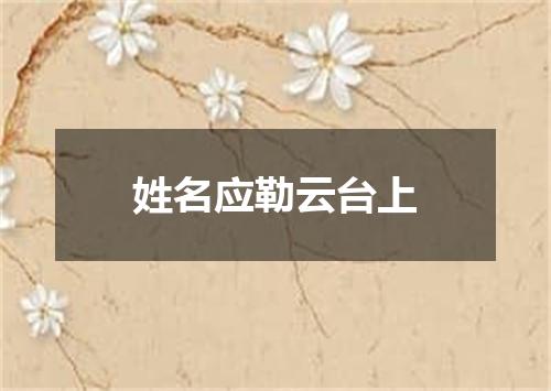 姓名应勒云台上