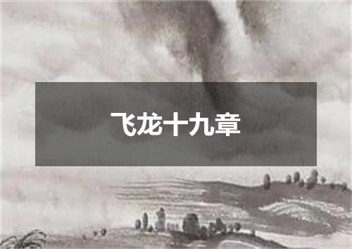 飞龙十九章