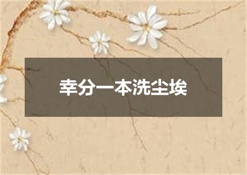 幸分一本洗尘埃
