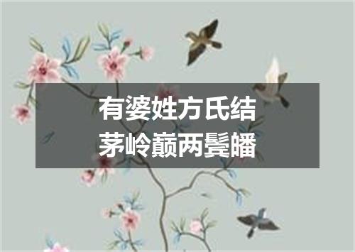 有婆姓方氏结茅岭巅两鬓皤