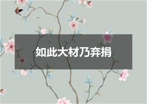 如此大材乃弃捐