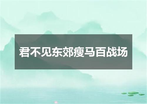 君不见东郊瘦马百战场
