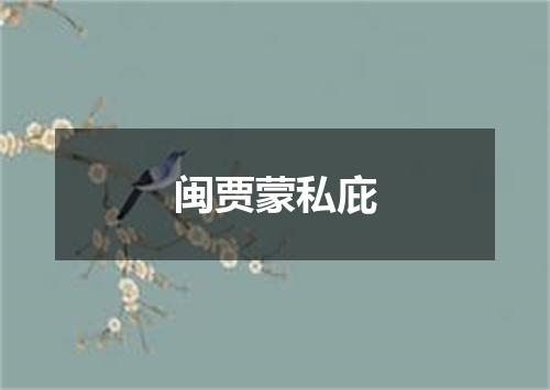 闽贾蒙私庇