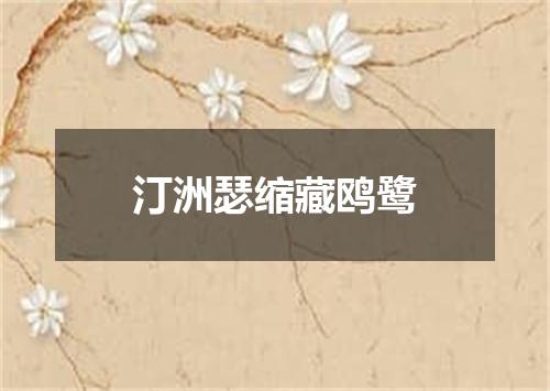汀洲瑟缩藏鸥鹭