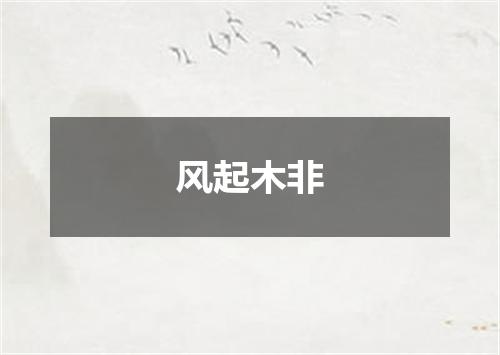 风起木非