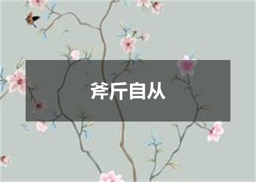 斧斤自从
