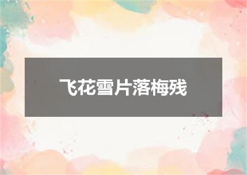 飞花雪片落梅残