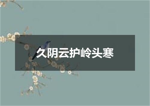 久阴云护岭头寒