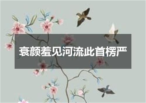 衰颜羞见河流此首楞严